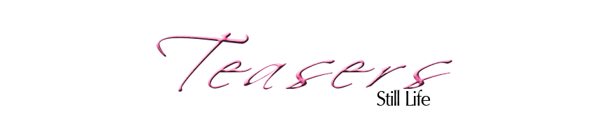 Still Life Headers TEASERS