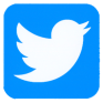 Twitter Logo Isolated