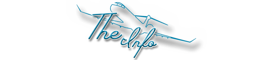 The Layover - Book Info