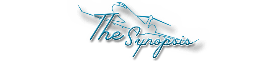 The Layover - The Synopsis